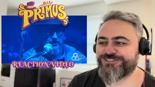 Australian Metalhead reacts to Primus  “Tommy the Cat” [upl. by Macmillan]