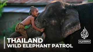 Thailand conservation Elephants and humans struggle for balance [upl. by Eveline751]