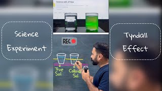 Tyndall Effect Experiment with TRUE solution amp COLLOIDAL solution  Class 9th  Science experiment [upl. by Ahsinan]