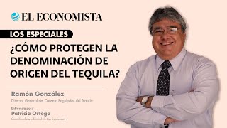 ¿Cómo protegen la Denominación de Origen del Tequila [upl. by Paluas]