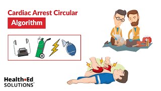 ACLS Cardiac Arrest Circular Algorithm [upl. by Engeddi]