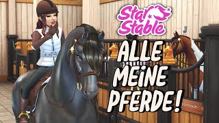 alle meine Pferde in SSO 🐴💕 [upl. by Etnuhs]