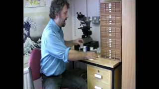 Radiolarian Micropalaeontology Extracting Radiolaria from Sediment [upl. by Veta472]