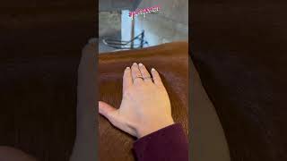 TUTO MASSAGE ÉQUIN 🐴 Massage de récupération musculaire du dos du cheval ✨ PART 1️⃣ [upl. by Aynodal272]