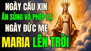 🛑 NGÀY LỄ ĐỨC MẸ VỀ TRỜI  HÃY CẦU NGUYỆN ĐIỀU NÀY ĐỂ XIN MẸ BAN ƠN LÀNH  Cầu Nguyện Cùng Mẹ Maria [upl. by Ulrica]