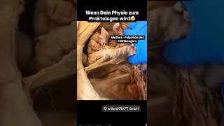 Mythos  Palpation des Hüftbeugers rückenschmerzen  der Psoas lässt sich NICHT palpieren [upl. by Silas]