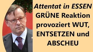 Erneut zeigen die Grünen Sie sind die größte Gefahr für Deutschland [upl. by Daht]