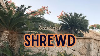 What is the meaning of Shrewd [upl. by Hahcim]