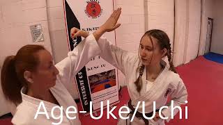 Heian Shodan Basic Bunkai [upl. by Ayhdiv713]