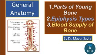 General Anatomy  Types of Epiphysis  Blood Supply of Long Bone  Dr Mayur Sayta [upl. by Adnamahs]