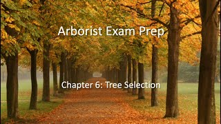 Arborist Exam Prep Chapter 6  Tree Selection [upl. by Aveneg107]