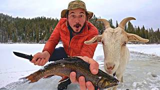 Ice Fishing for Trout with my Goat Catch amp Cook [upl. by Lauryn701]