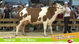 Super Mamelle HD [upl. by Jaenicke]