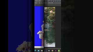 how to change background in photoshop shorts photobackgroundchange [upl. by Elurd]