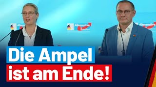 Presseerklärung von Alice Weidel und Tino Chrupalla [upl. by Marlo191]