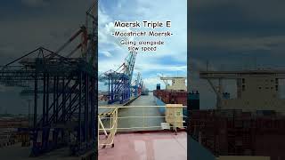 Maersk Triple E vessel  Containership  Cargo seafarer [upl. by Eimoan]