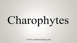 How To Say Charophytes [upl. by Briny]