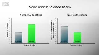 Maze Basics The Balance Beam Laboratory Apparatus [upl. by Airbas]