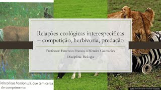 Relações ecológicas interespecíficas Parte 1  competição interespecífica herbivoria e predação [upl. by Lenzi]