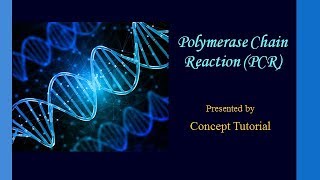 Polymerase Chain Reaction PCR  Biotechnology Principles amp Processes Part 7  Biology Class 12 [upl. by Ahsyekal]