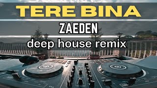 TERE BINA  ZAEDEN  BOLLYWOOD DEEP HOUSE MIX  HINDI LOVE SONGS REMIX [upl. by Inait]