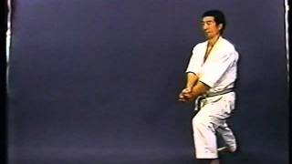 Heian Godan JKA  Sensei Osaka [upl. by Garlaand]