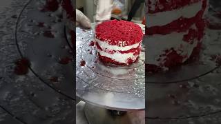 Cheese Cake  Red Velvet Cake for ₹220 only  Tilak Nagar [upl. by Ydennek]