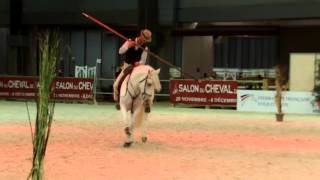 Salon du cheval Paris 2015 Equitation camarguaise [upl. by Maud29]