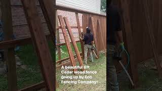 Eco Fencing Company installing another beautiful 8ft Cedar wood fence [upl. by Etteiram461]