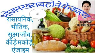 भोजन खराब होने के कारण causes of food spoilage Class XII Ch16 part 2 Food spoilage [upl. by Ayenet972]