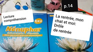 Lecture compréhensionLa rentréemon chat et moi Drôle de rentréeNénuphar CE2 p14 [upl. by Lamberto]