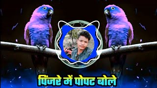 Pinjre Mein Popat Bole Adi Dhamal Mix  DJ PAWAR MP28 [upl. by Brookner]