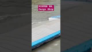 PIETER SR Cargo Ship  Spotted Germany 🛟⚓️ marinoph subscribe [upl. by Nek859]