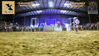 JARIPEO THE MEXICAN BULL RIDERS [upl. by Lubba]