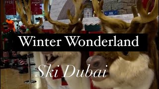 Winter wonderland Ski Dubai Winter attraction’s Dubai Dubai in winter Travel fyp viralvideo [upl. by Eesdnyl]