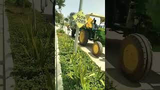 Divider Watering Plants chlorophytum amp wedelia amp Gulmohar tree [upl. by Nodnerb]