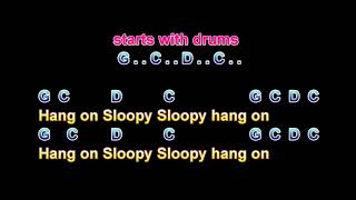 Hang On Sloopy The McCoys [upl. by Rabma842]