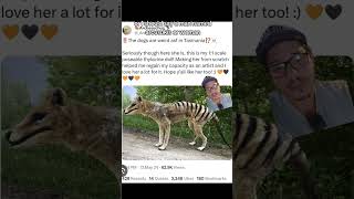 Thylacine photos debunked [upl. by Tillman]