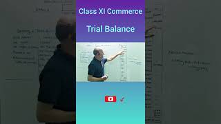 Trial Balance 🔥  Easy Explanation  Class XI  202425  CBSE  accountancy [upl. by Odracer]