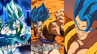 NEW PHY LR GOGETA BLUE SUPER ATTACKS ACTIVE SKILLS NULLIFLY  OST Dragon Ball Z Dokkan Battle [upl. by Boehmer922]