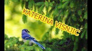 SVE PTICICE  ALL BIRDS  ZAPEVALE  Dr Sci KATERINA VISNJIC [upl. by Lindo769]