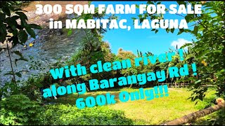 PROPERTY  68 SMALL CUT FARM FOR SALE  300 SQM FARM WITH CLEAN RIVER  ALONG BARANGAY ROAD [upl. by Neyugn]