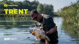 Huge Hit Of Scaly Carp  The Final APEroach  Carp Fishing [upl. by Sletten]