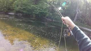 Fly Fishing Channel Pool with the double dry fly [upl. by Aennyl]