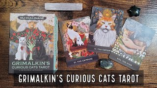 The Grimalkins Curious Cats Tarot [upl. by Sydalg367]