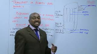 Monocotyledonous and Dicotyledonous RootsL3 [upl. by Aelam]