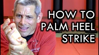 How to Palm Heel Strike Without Breaking Your Wrist [upl. by Tavis]