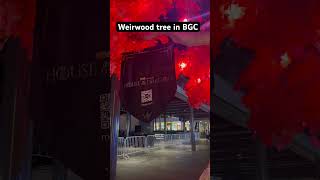 Weirwood tree in BGC travel philippines lovephilippines [upl. by Yeleak]