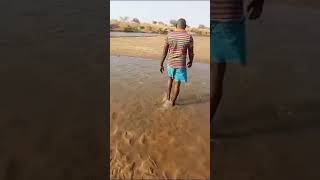 mighty Zambezi river on zambia Zimbabwe border dry due to severe drought [upl. by Bullion]