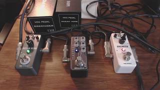 Low Cost Two Rock Bluesy Tone  Mooer Micro Preamp 010 Rowin Greenizer Ocean Verb [upl. by Eicnahc]